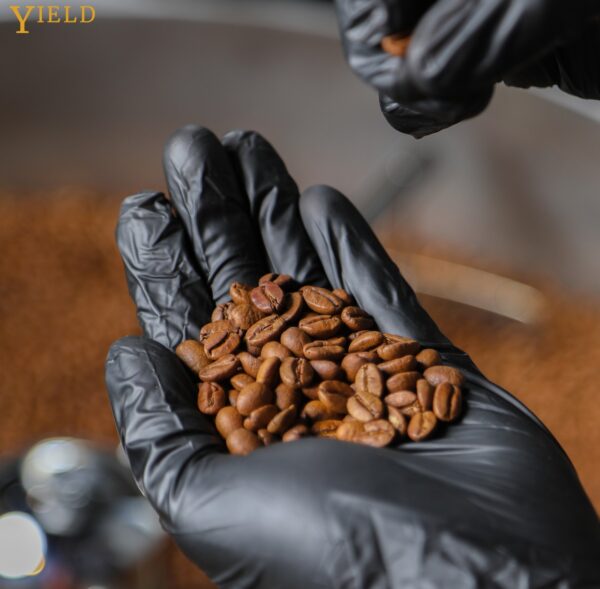 95319227-2c21-4e2c-97bf-c66f3fc94492